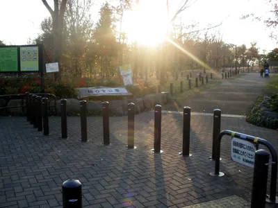 Kashinomiya Park