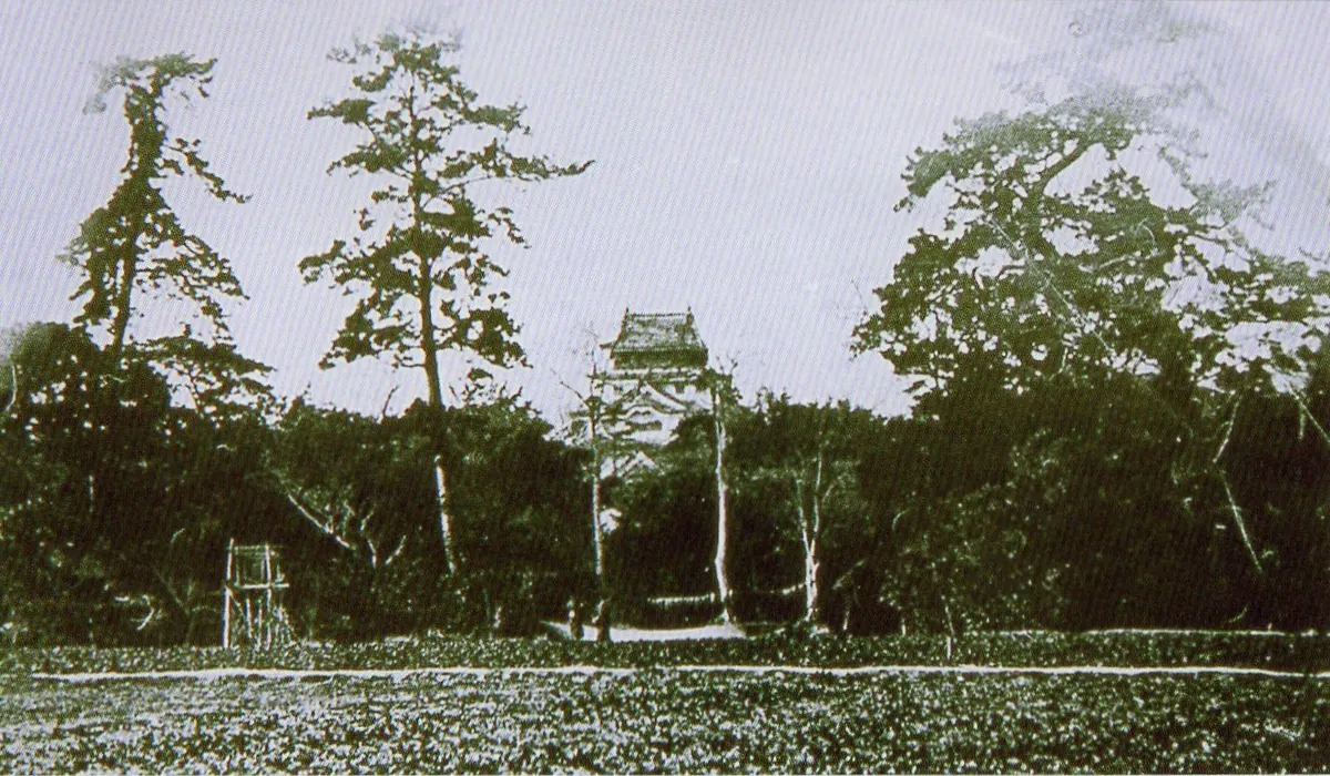 Yanagawa Castle