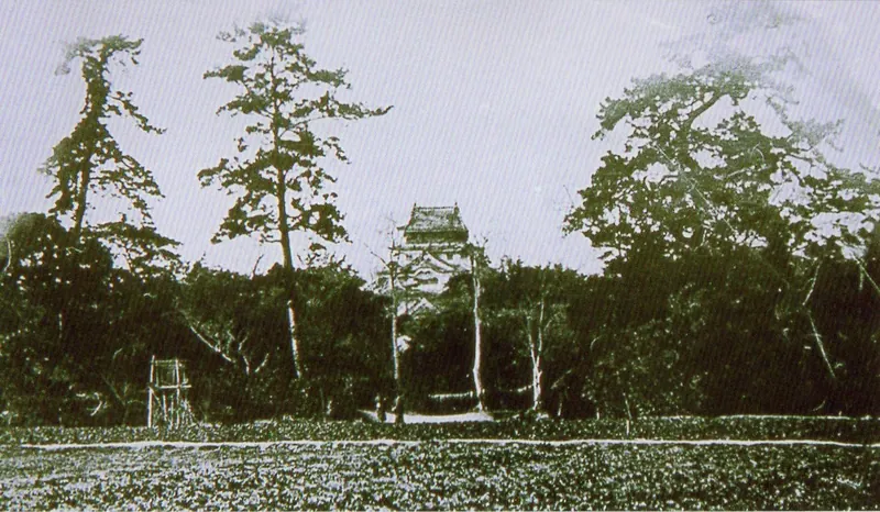 Yanagawa Castle