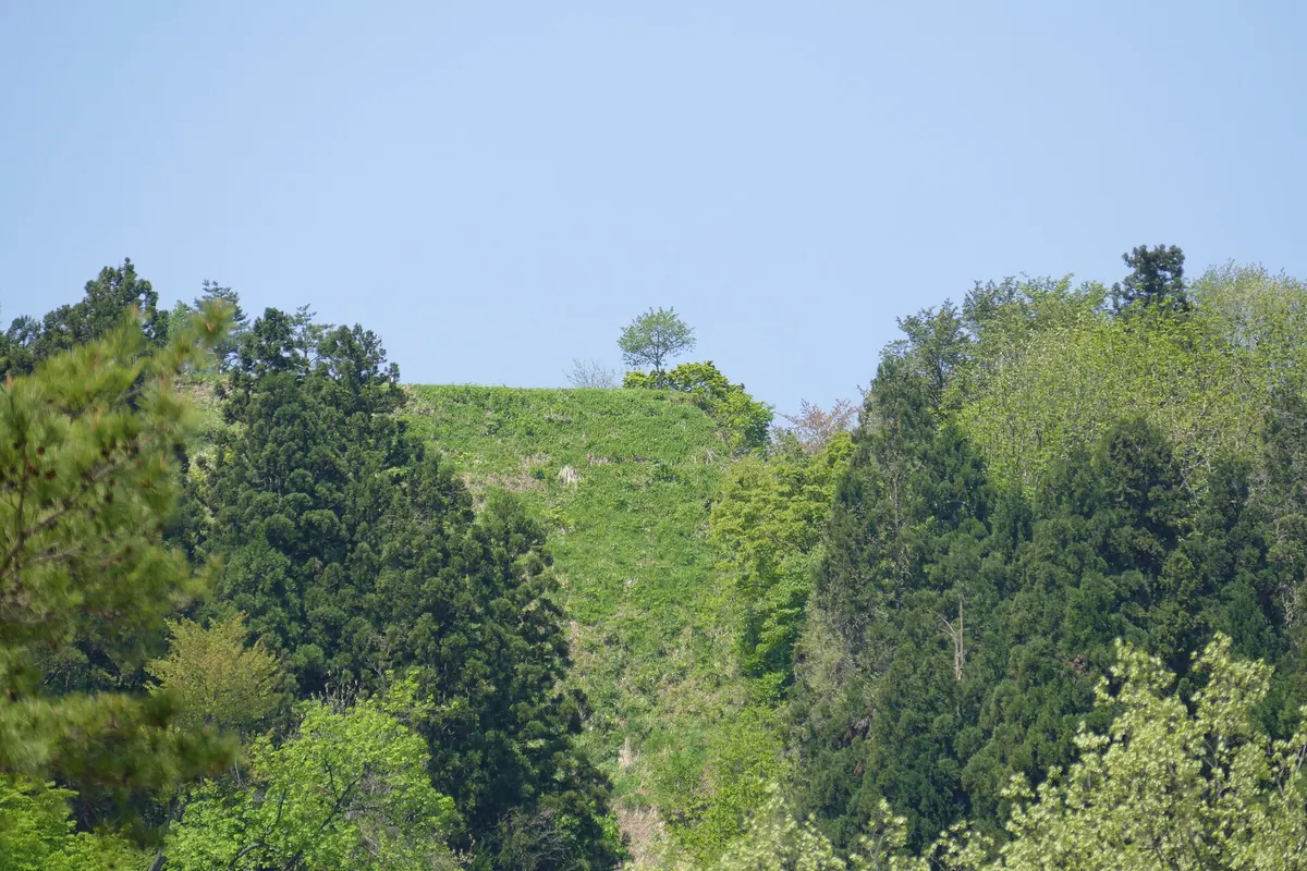 Tochio Castle