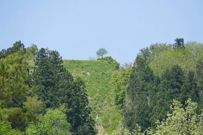 Tochio Castle