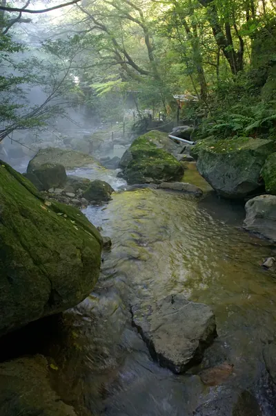 Ryokukeitouen