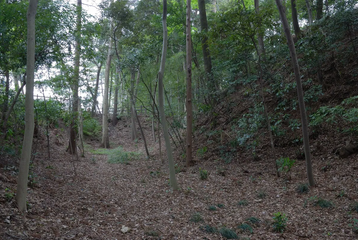 Negiuchi Castle