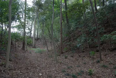Negiuchi Castle