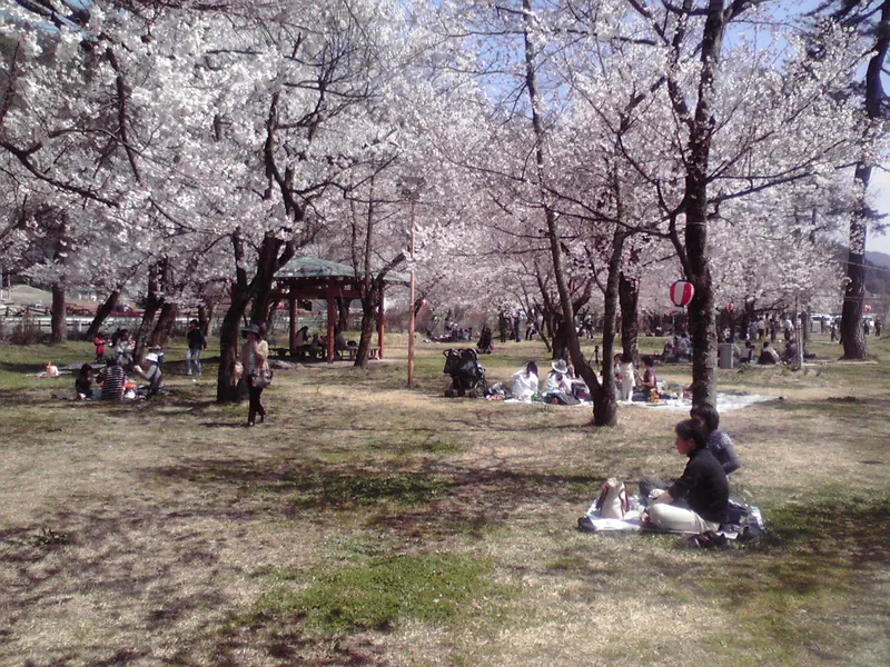 Sakurano Park