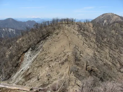 Mount Tanasawanoatama