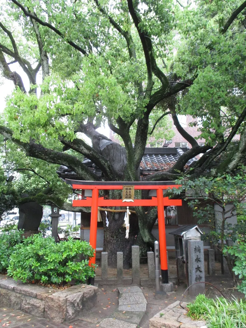 Kusunaga Shrine