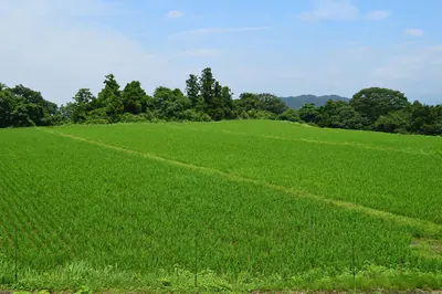 Gokuraku-ji Hibiki Ruins
