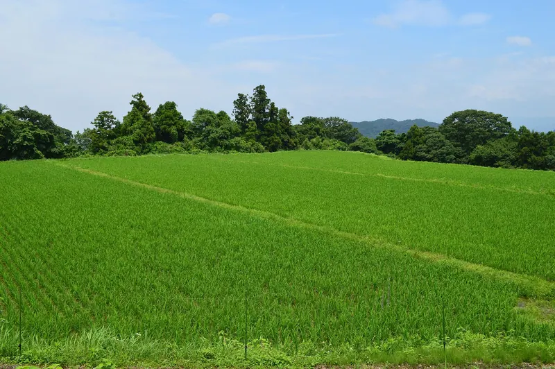 Gokuraku-ji Hibiki Ruins