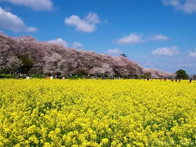 Gongendō Park