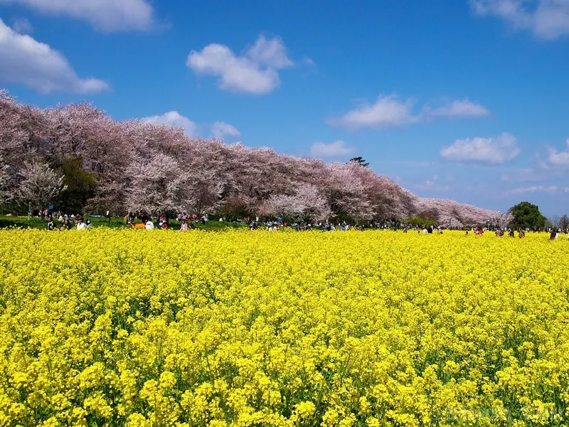 Gongendō Park