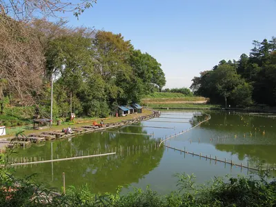 Gongennuma Shell Mounds