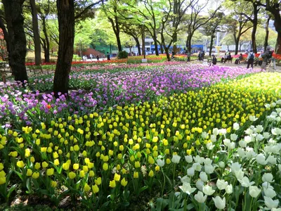 Yokohama Park