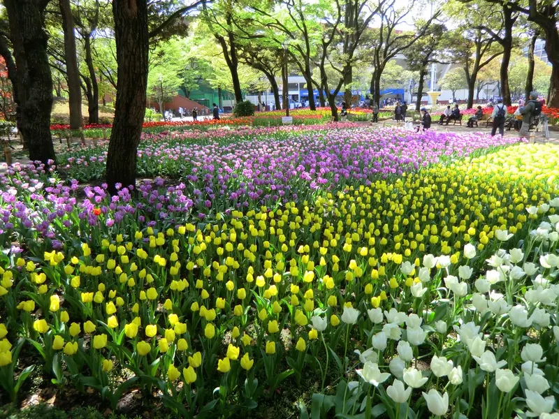 Yokohama Park