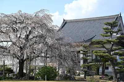 Shōgen-ji Temple