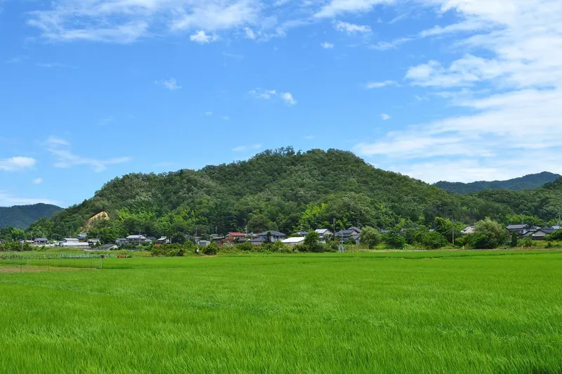 Konosumiyama Castle