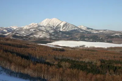 Musa-dake