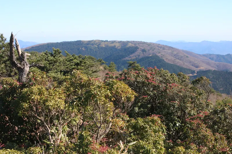 Mount Darugamine
