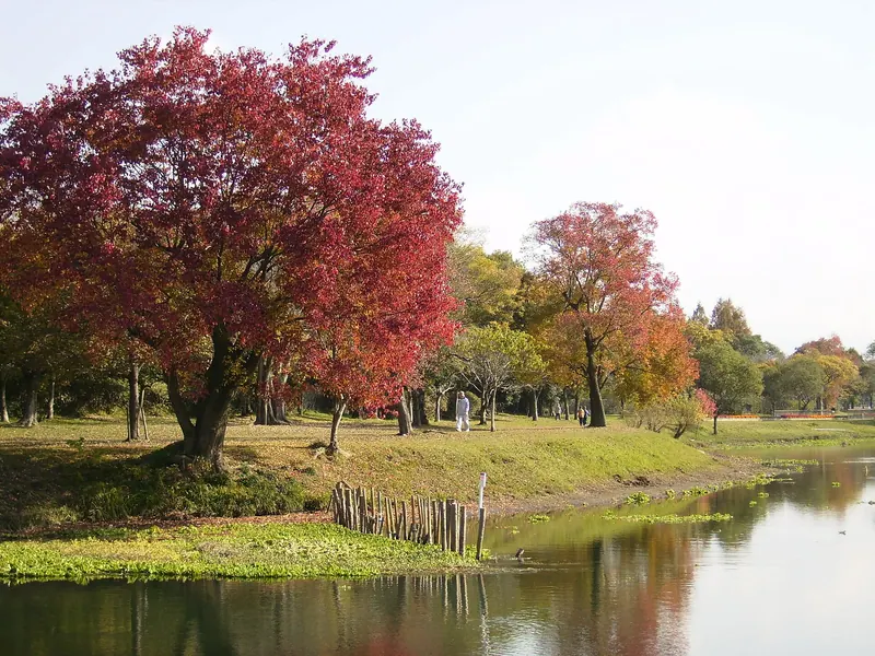 Suizenji Ezuko Park