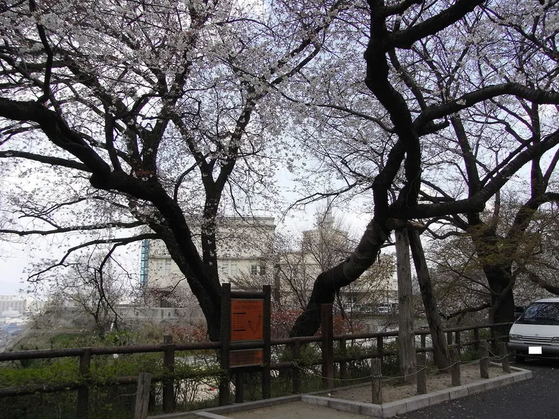 Ebayama Park
