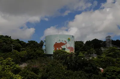 Okinawa Zoo & Museum