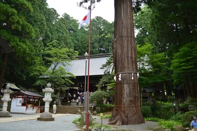 Kawaguchi Asama Shrine