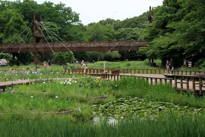 Izumi no Mori