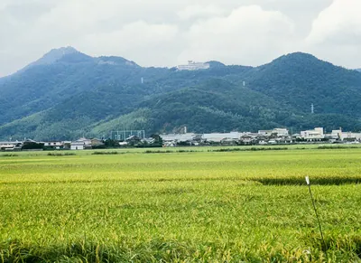 Mount Tsunomine