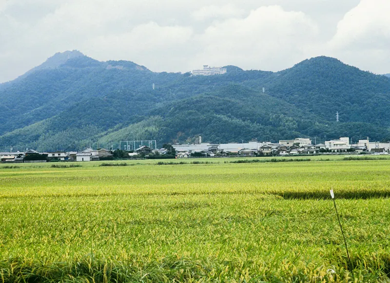 Mount Tsunomine