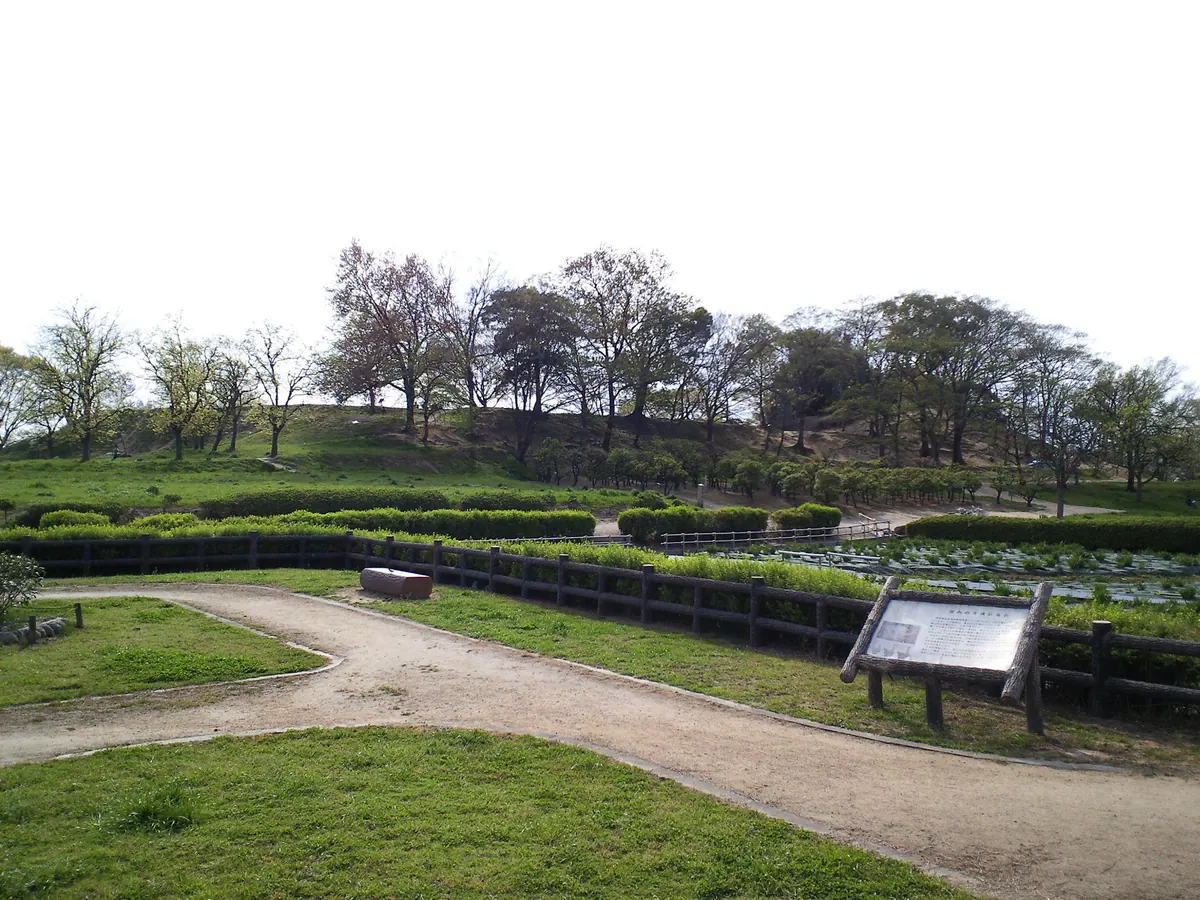 Tsudō-Shiroyama Kofun