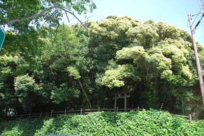 Urado Castle