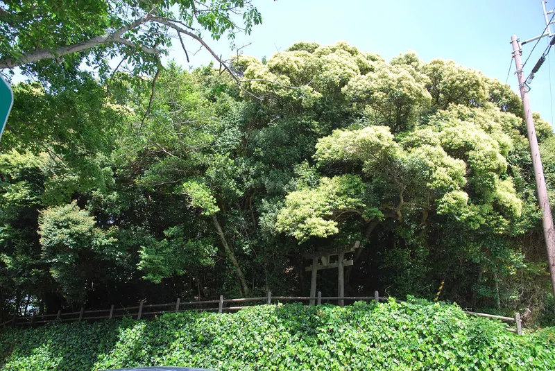 Urado Castle