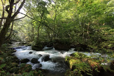 Towada-Hachimantai National Park