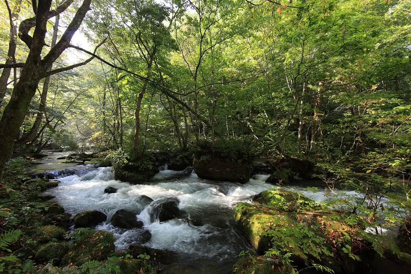 Towada-Hachimantai National Park