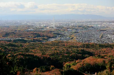 Kaisho Forest