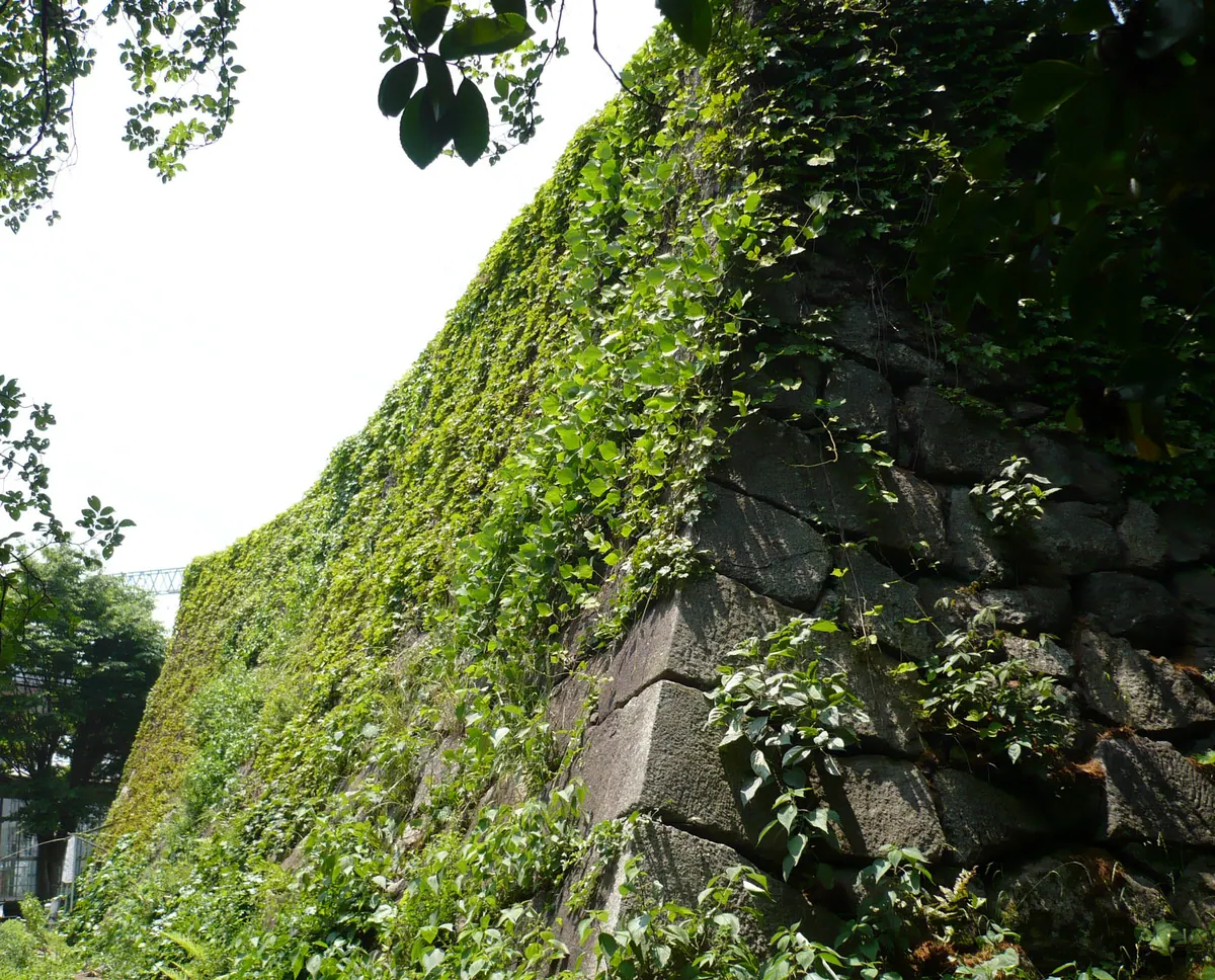 Yodo Castle