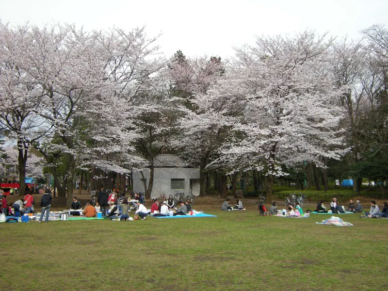 Fuchinobe Park