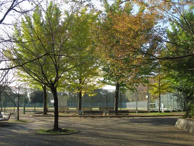 Kiyoku Park