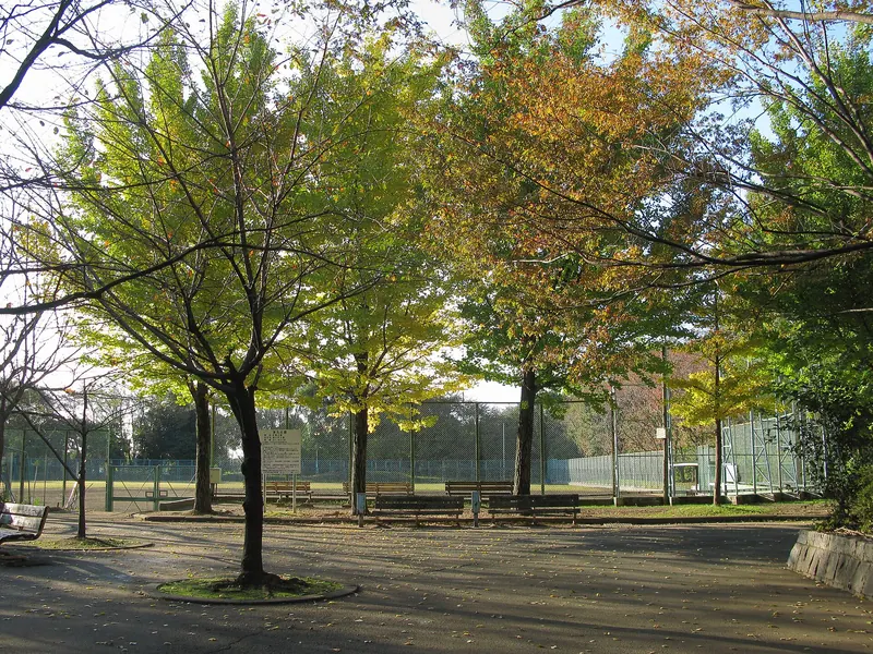 Kiyoku Park