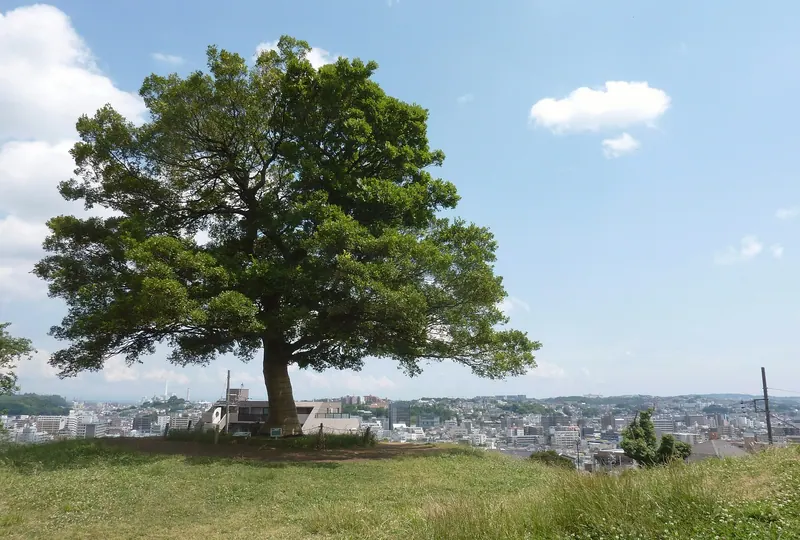 Shimizugaoka Park