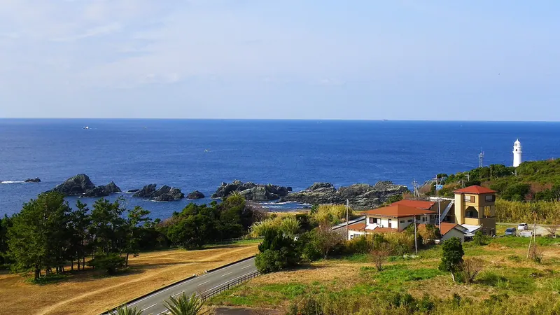 Cape Shionomisaki