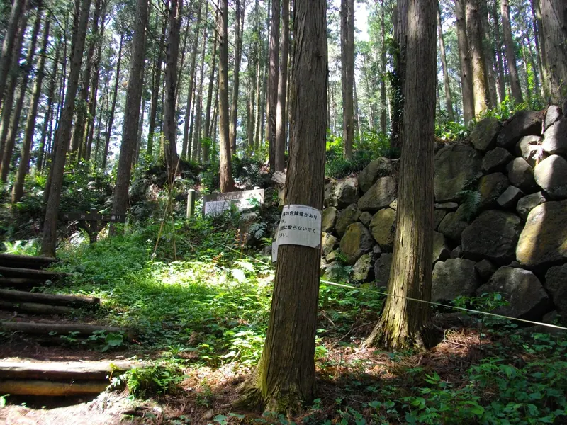 Karasuyama Castle