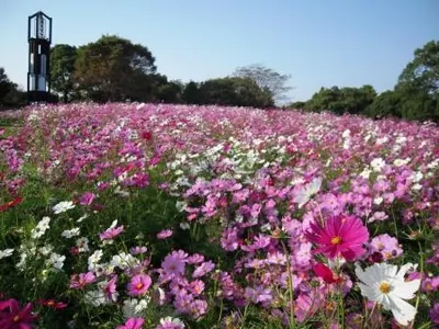 Kumamoto City Zoological and Botanical Gardens