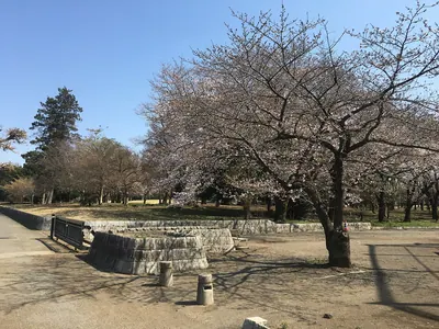 Kumagaya Sakura Sports Park