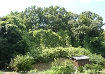 Kataoka Castle