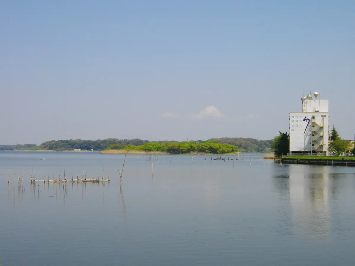 Lake Ushiku