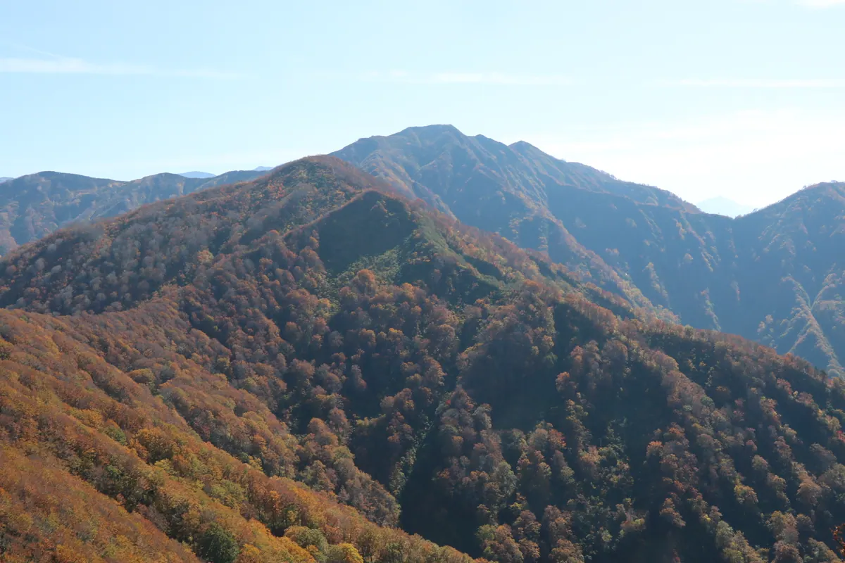Mount Inu