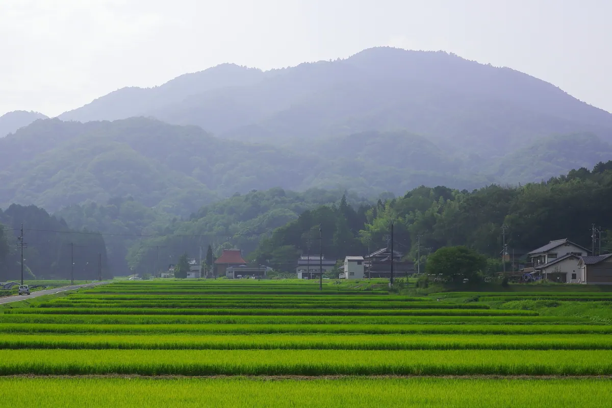 Mount Sanage