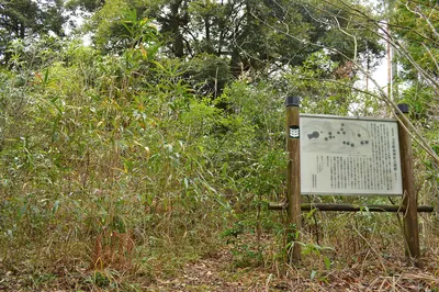 Tamawakasu-mikoto Jinja Kofun Cluster