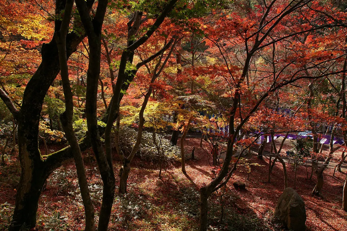 Zuihōji Park